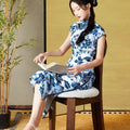 Imperial Kiln-inspired blue-white motif| Modern one-Pieces Qipao Dress（珈蓝） - E·Beauty